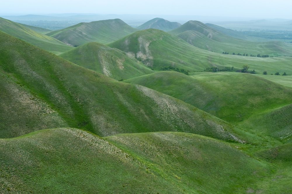 Photograph by Алёна Ивочкина