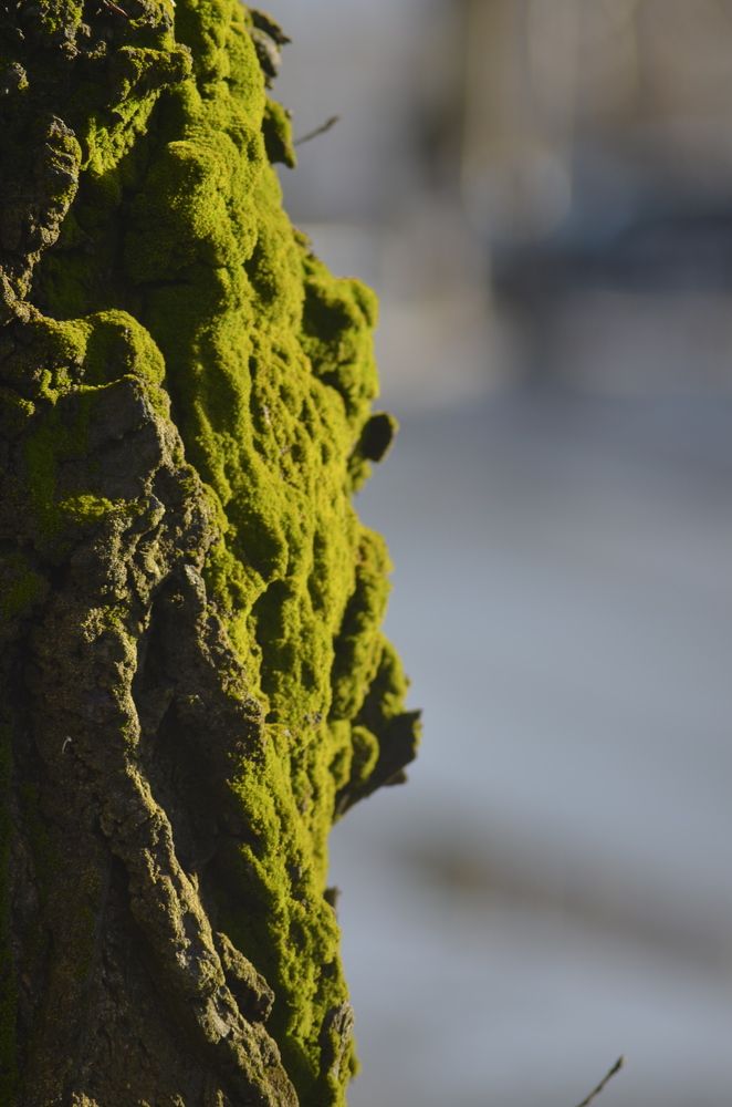 Photograph by Valentina