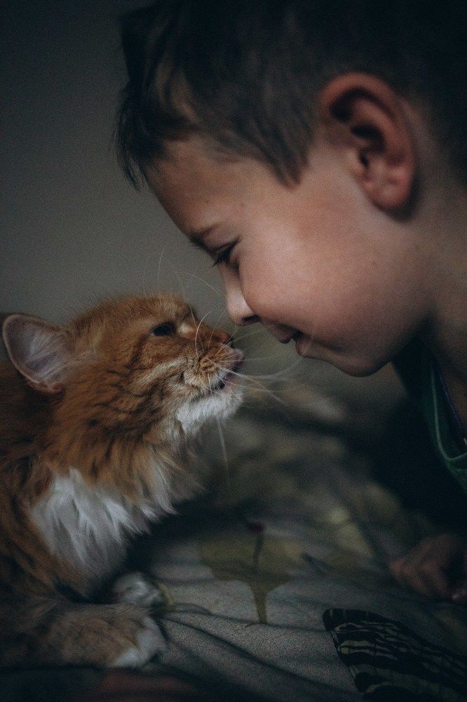 Photograph by Екатерина Андросова