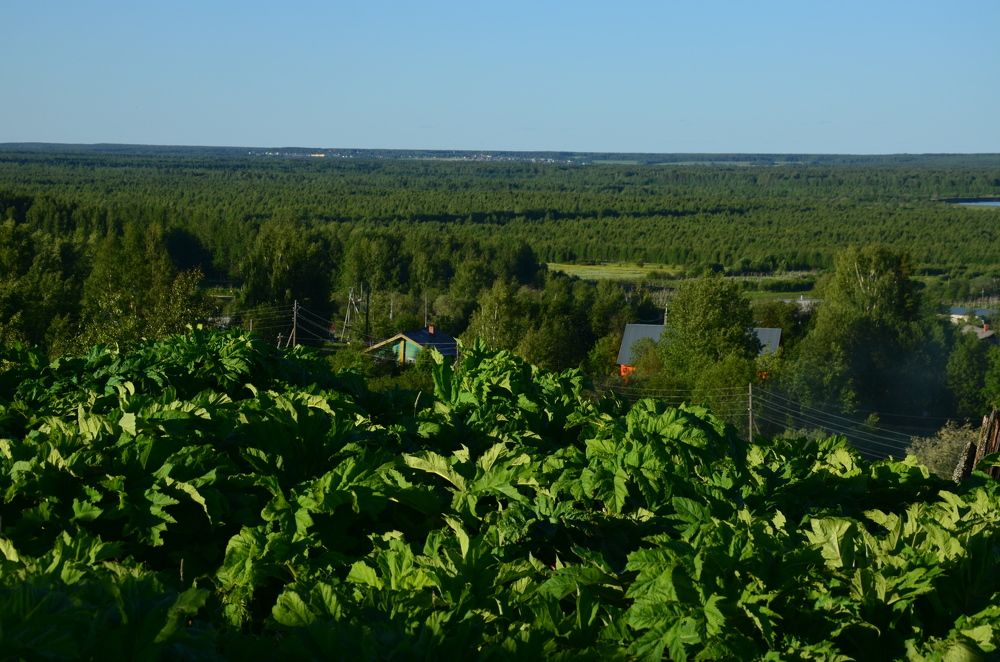 Photograph by Valentina