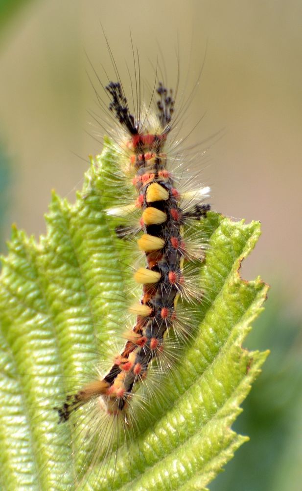 Photograph by Владислав Иопек