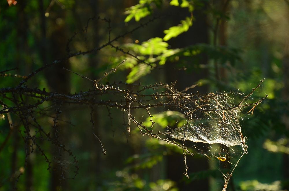 Photograph by Valentina