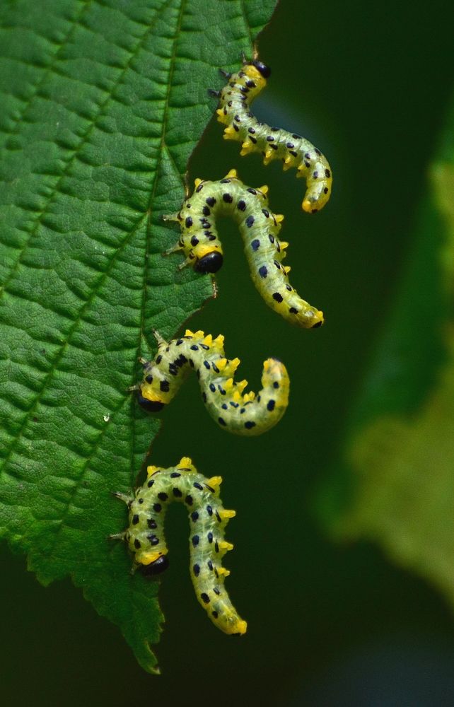 Photograph by Владислав Иопек