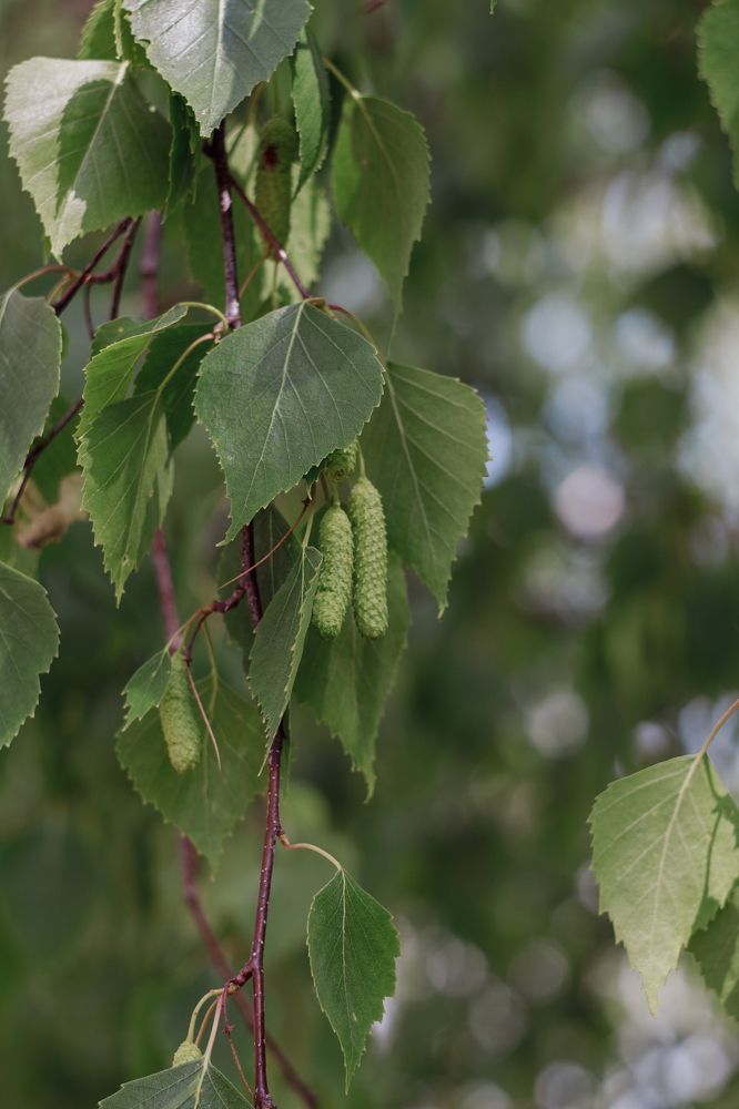 Photograph by Anna Dubinina