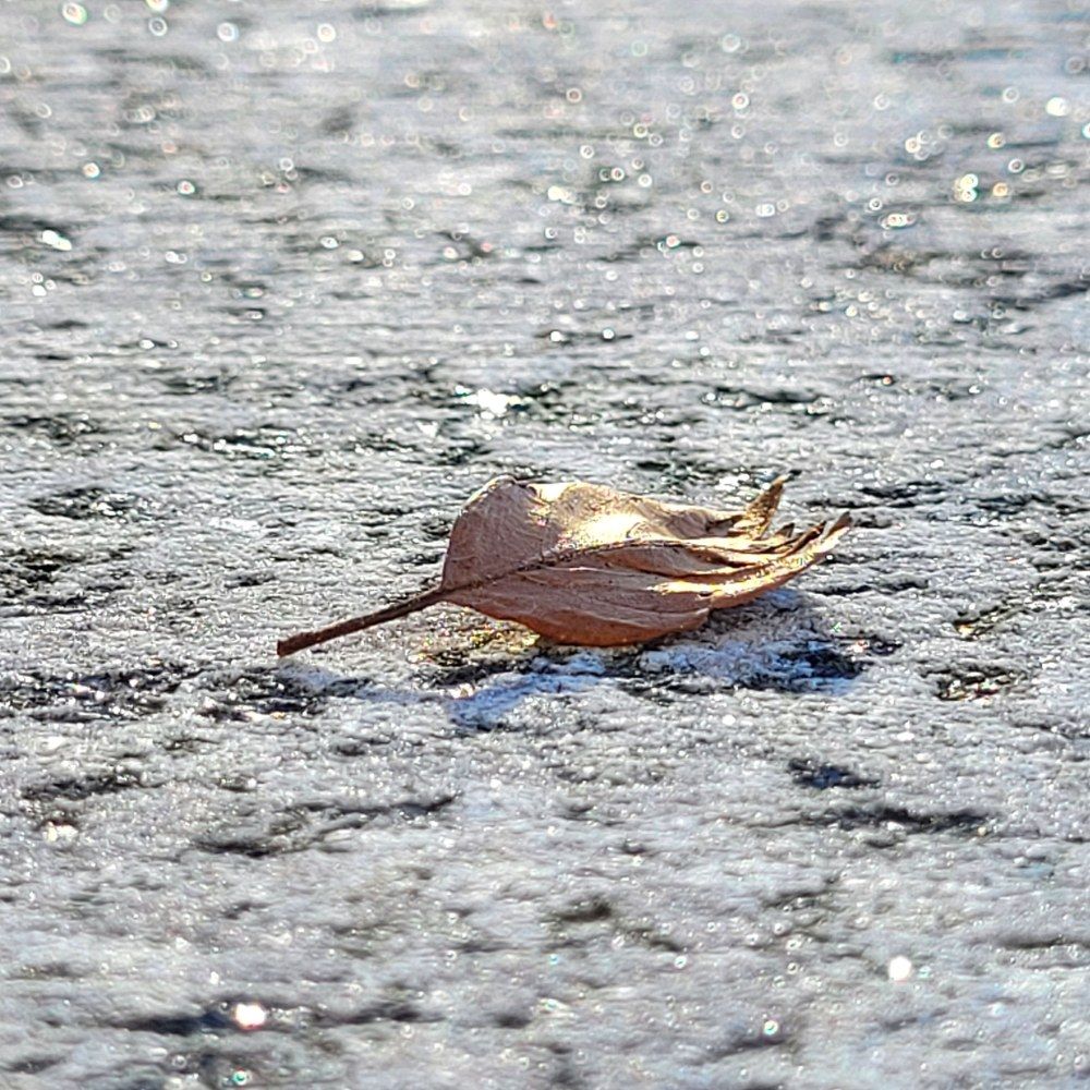 Photograph by Catherine Walter-Prêtre