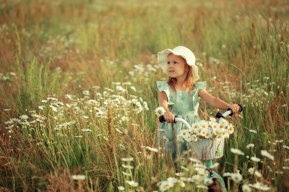 Ромашковое настроение