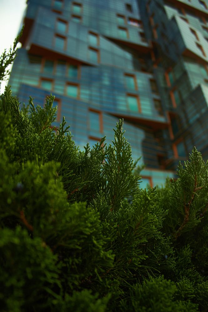 Photograph by Наталья Шевелева