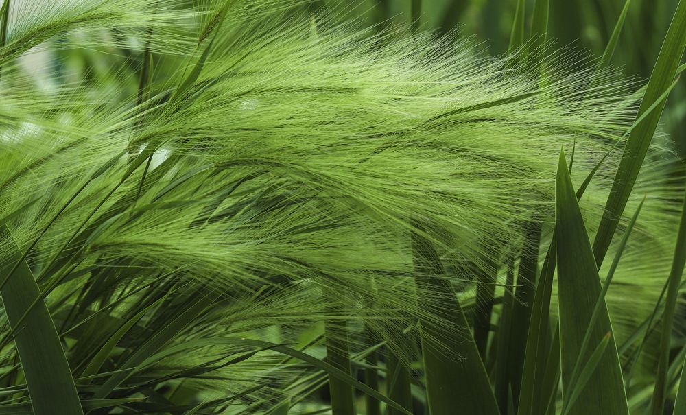 Photograph by александр лялин