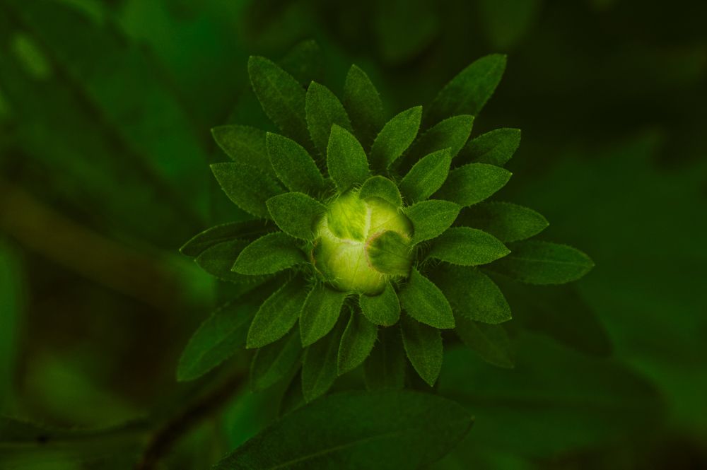 Photograph by Евгений Козлов