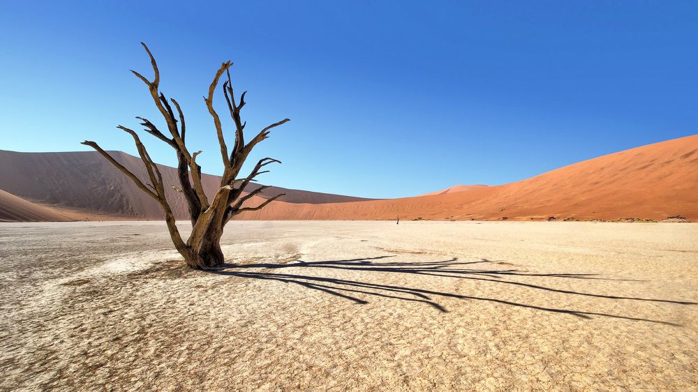 Deadvlei
