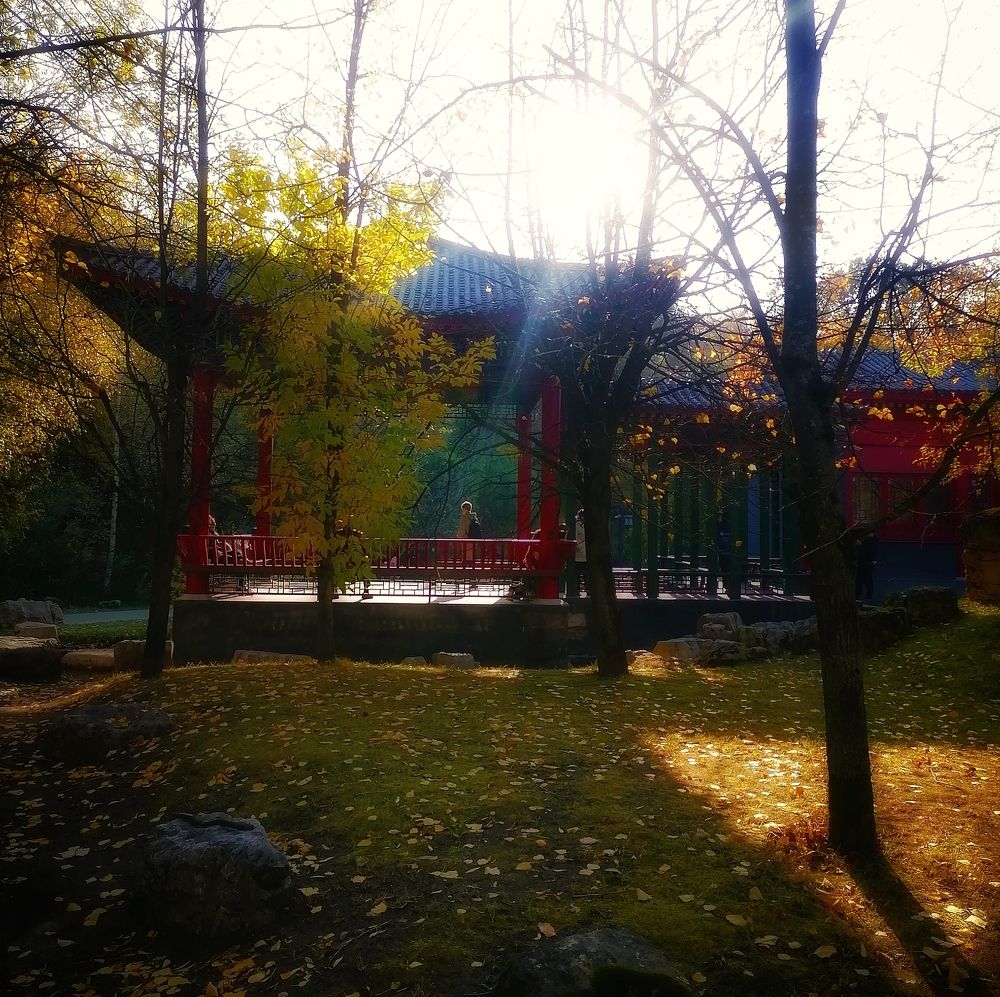 Photograph by Валерия Субботина