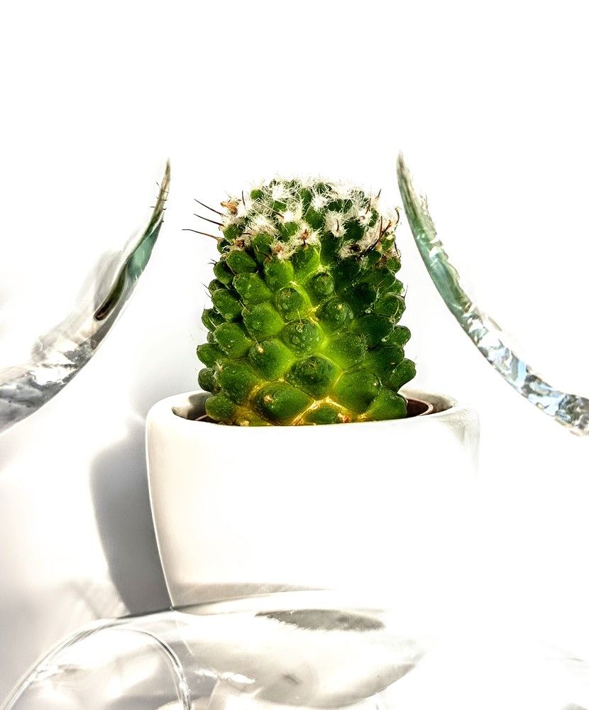 Photograph by Юлия Бурминская