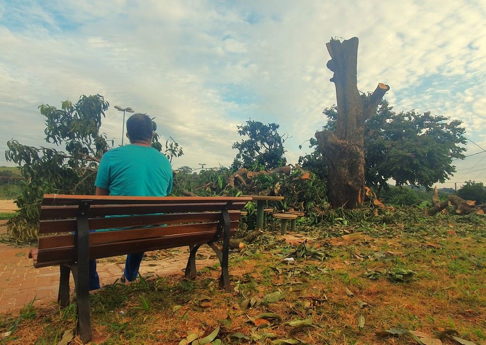 Photograph by Régis Santos