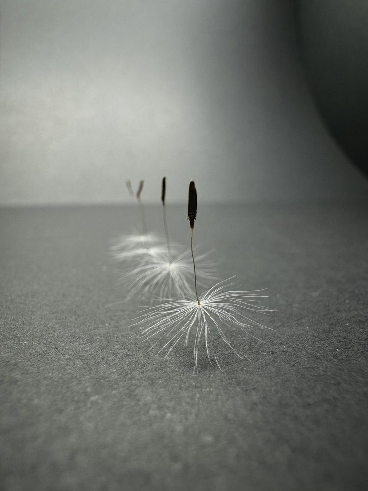 Фотография автора Евгения Елисеева