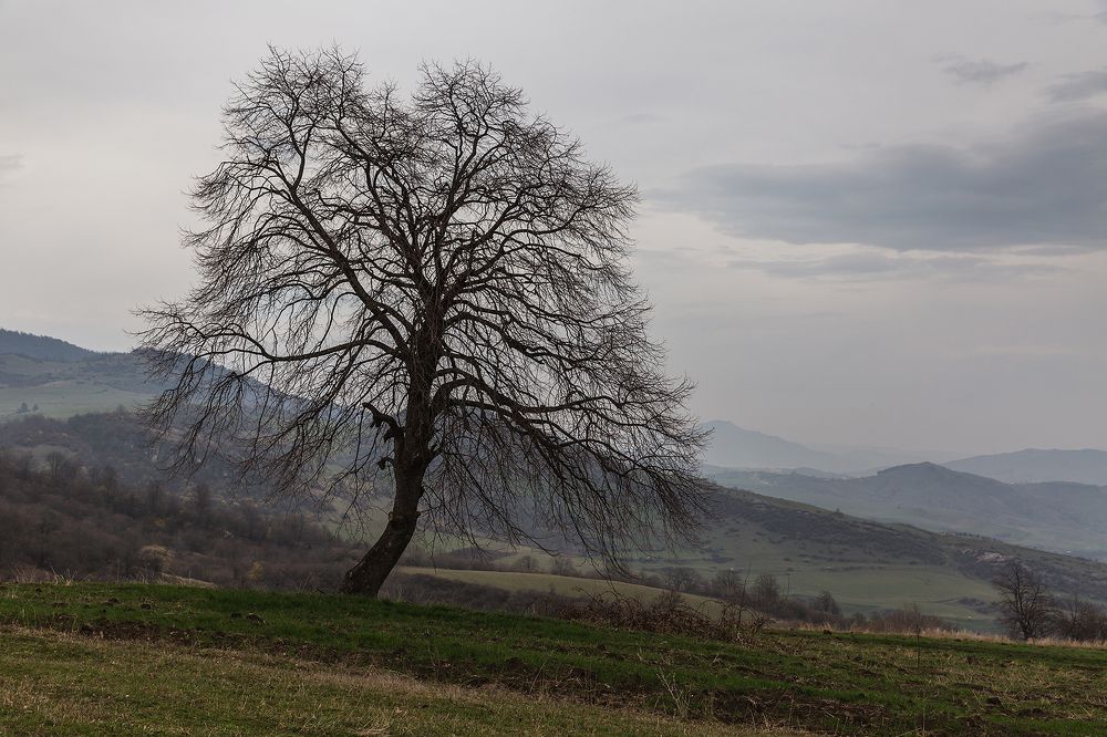 Photograph by Mesrop Mesropyan