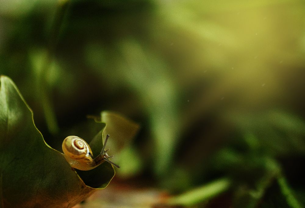 Photograph by Анна Селезнева