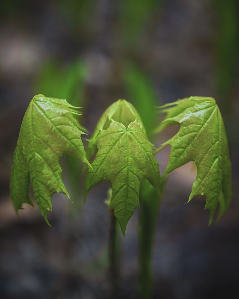 Photograph by Julia Andreeva