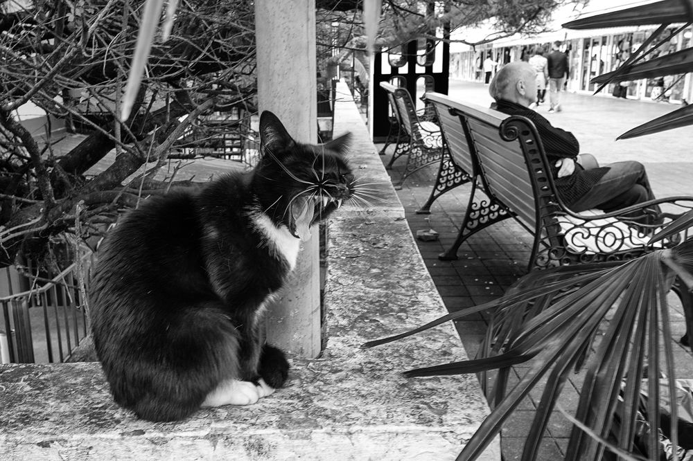 Фотография автора Сергей Сынтин