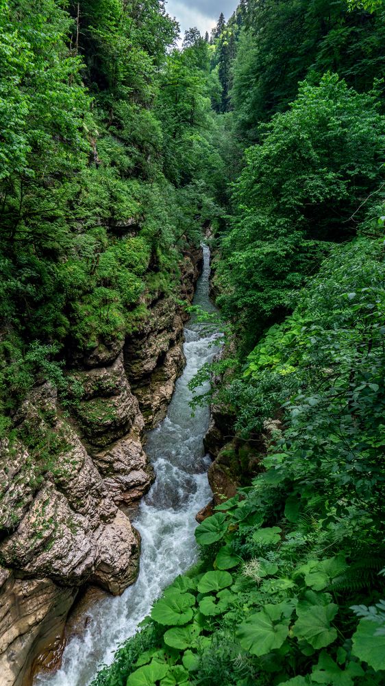 Photograph by Виталий Павлов