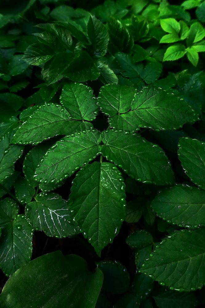 Photograph by Виталий Павлов