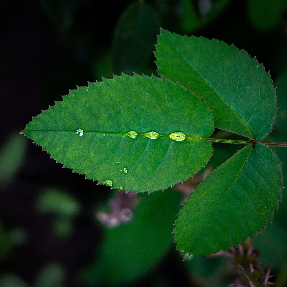 Photograph by Виталий Павлов