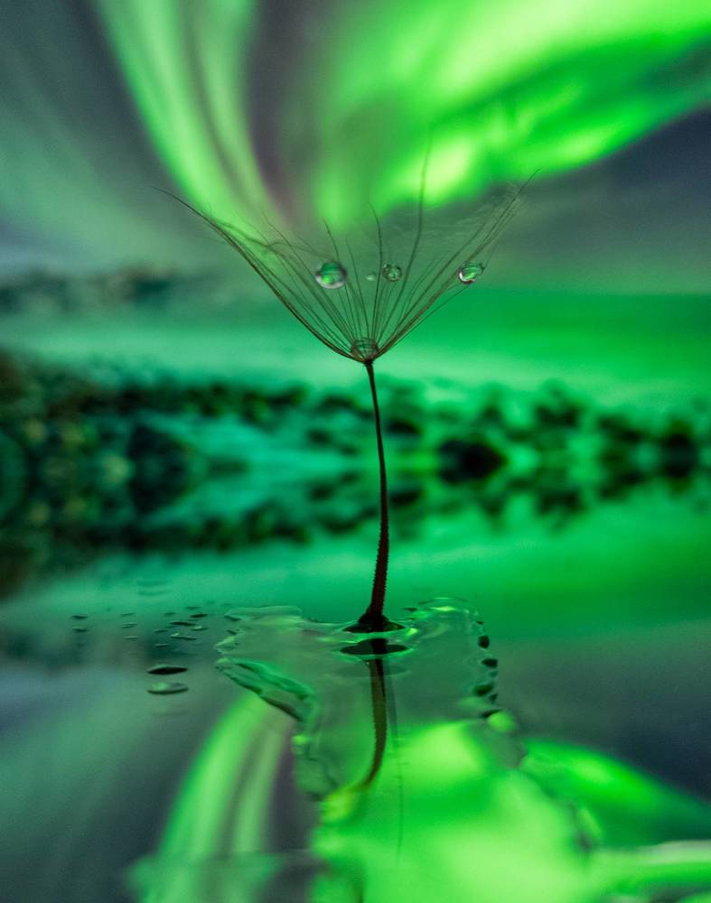 Photograph by Алексей Крукович