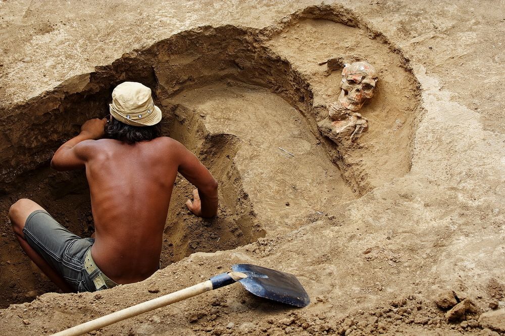 Фотография автора Александр Челмодеев