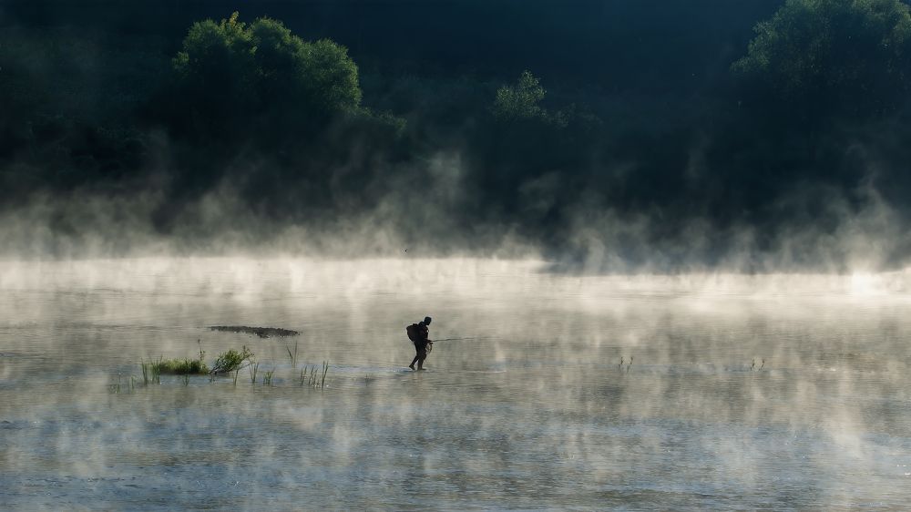 Photograph by Людмила Железнова