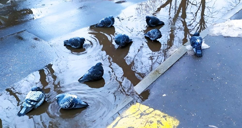 Водные процедуры