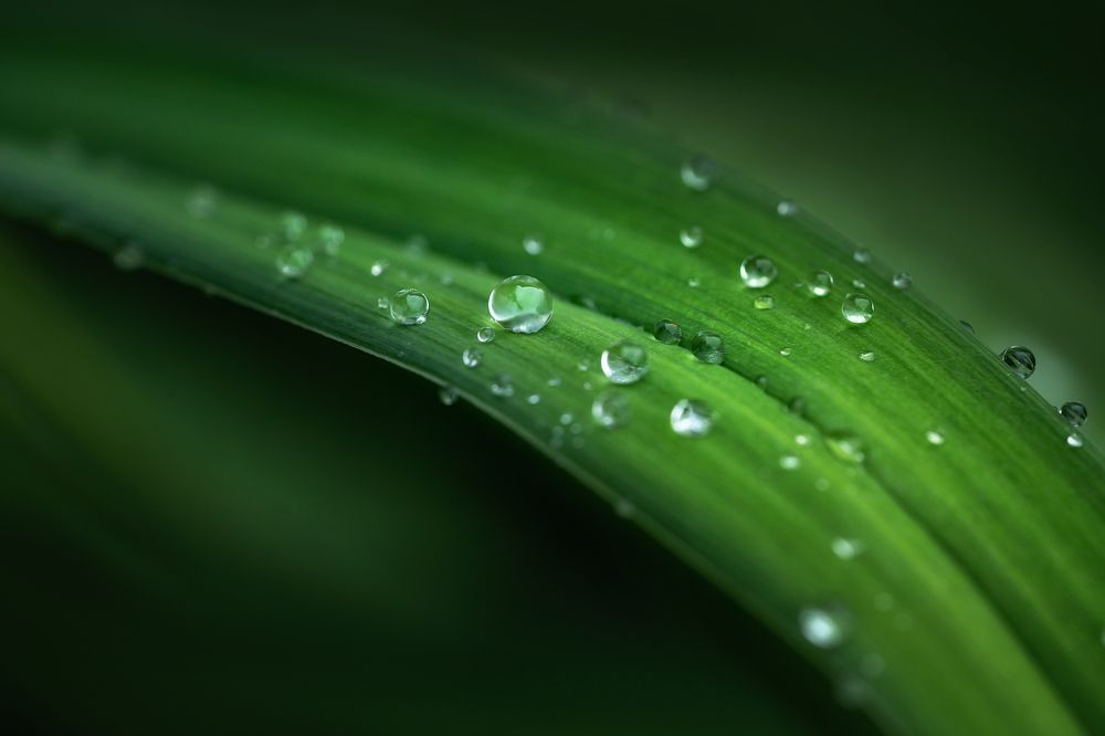 Фотография автора Olga Yar