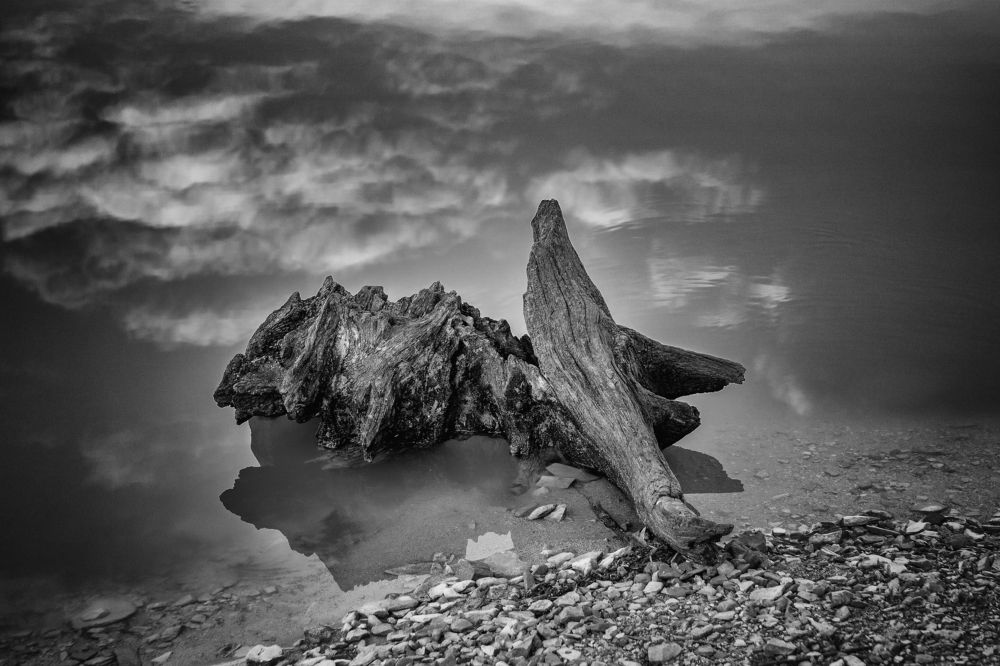 Photograph by Виталий Павлов