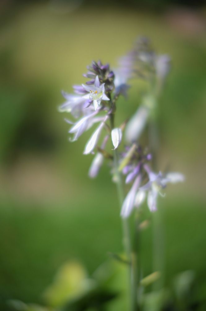 Photograph by Павел Юнусов