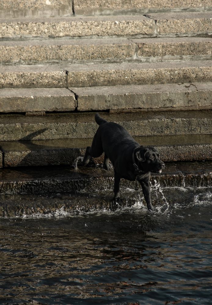 Photograph by Анастасия Псарёва