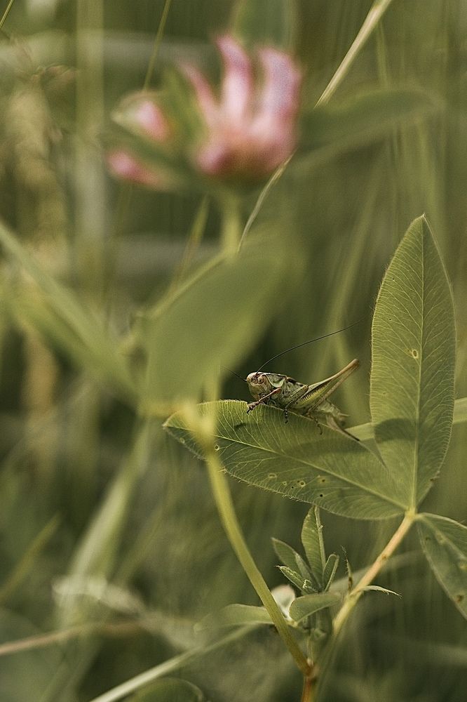 Photograph by Наталья Баранова