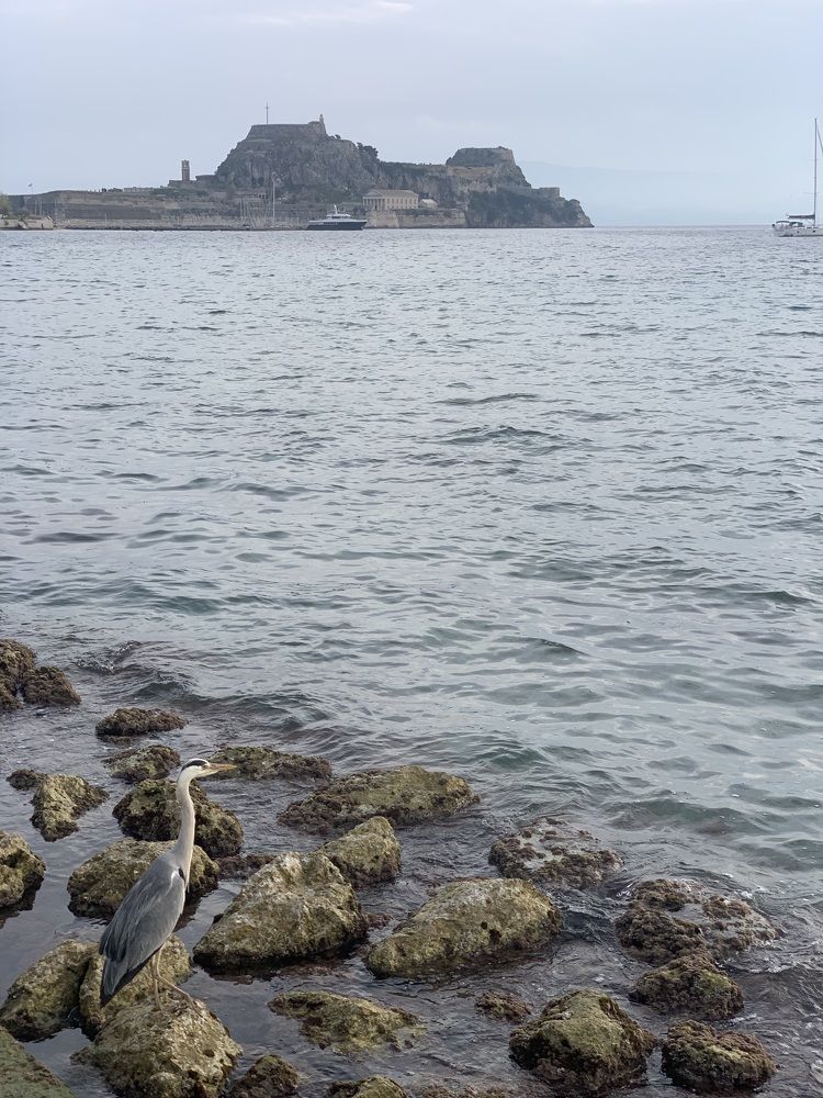 Photograph by Анастасия Мангольд