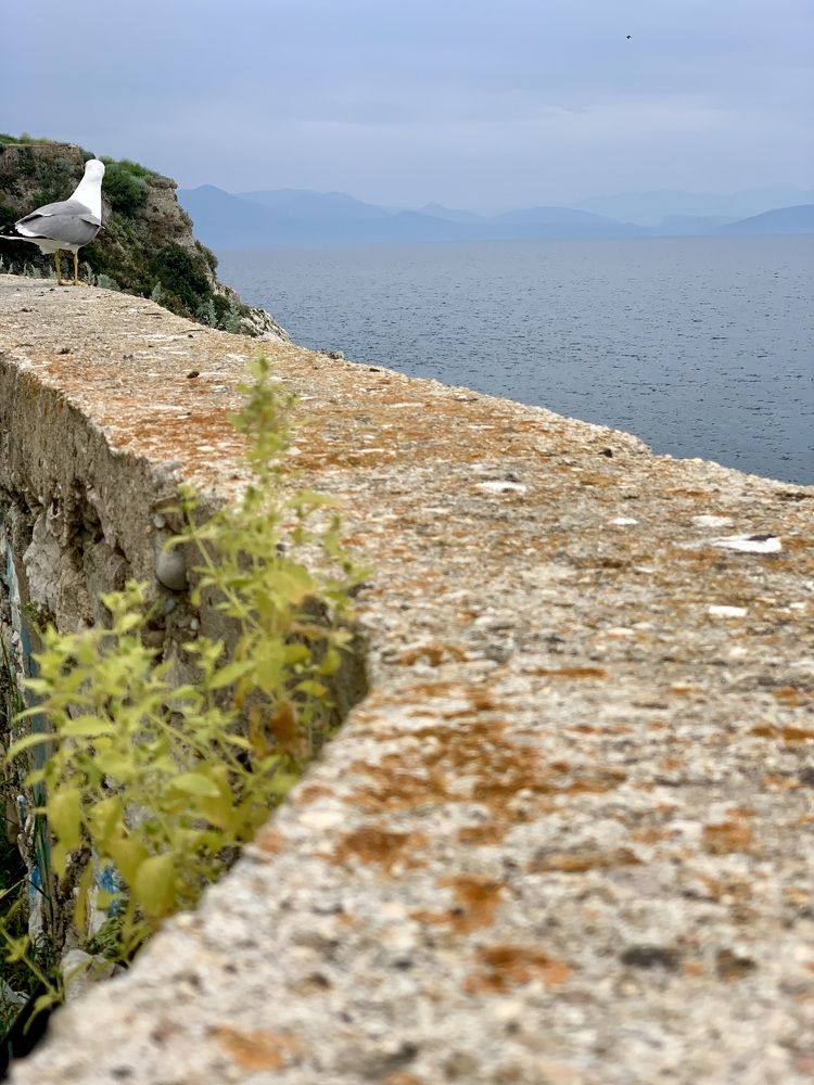 Photograph by Анастасия Мангольд