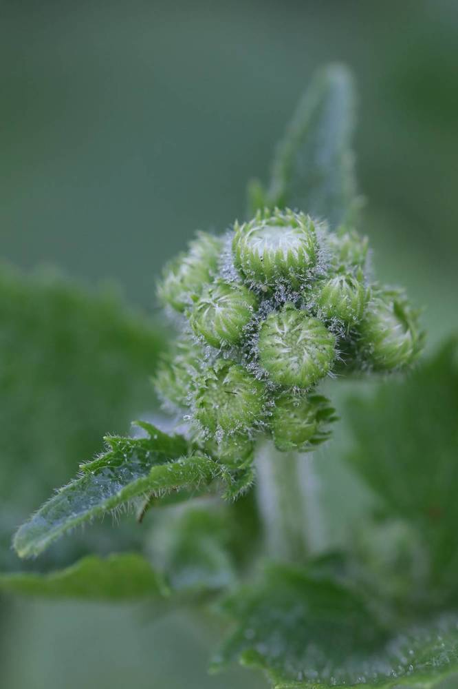 Photograph by Надежда Зайцева
