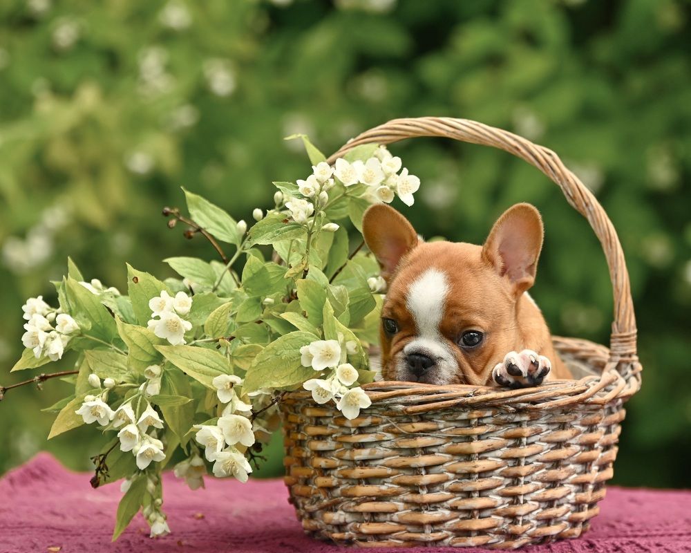 Photograph by Милана Бабченко