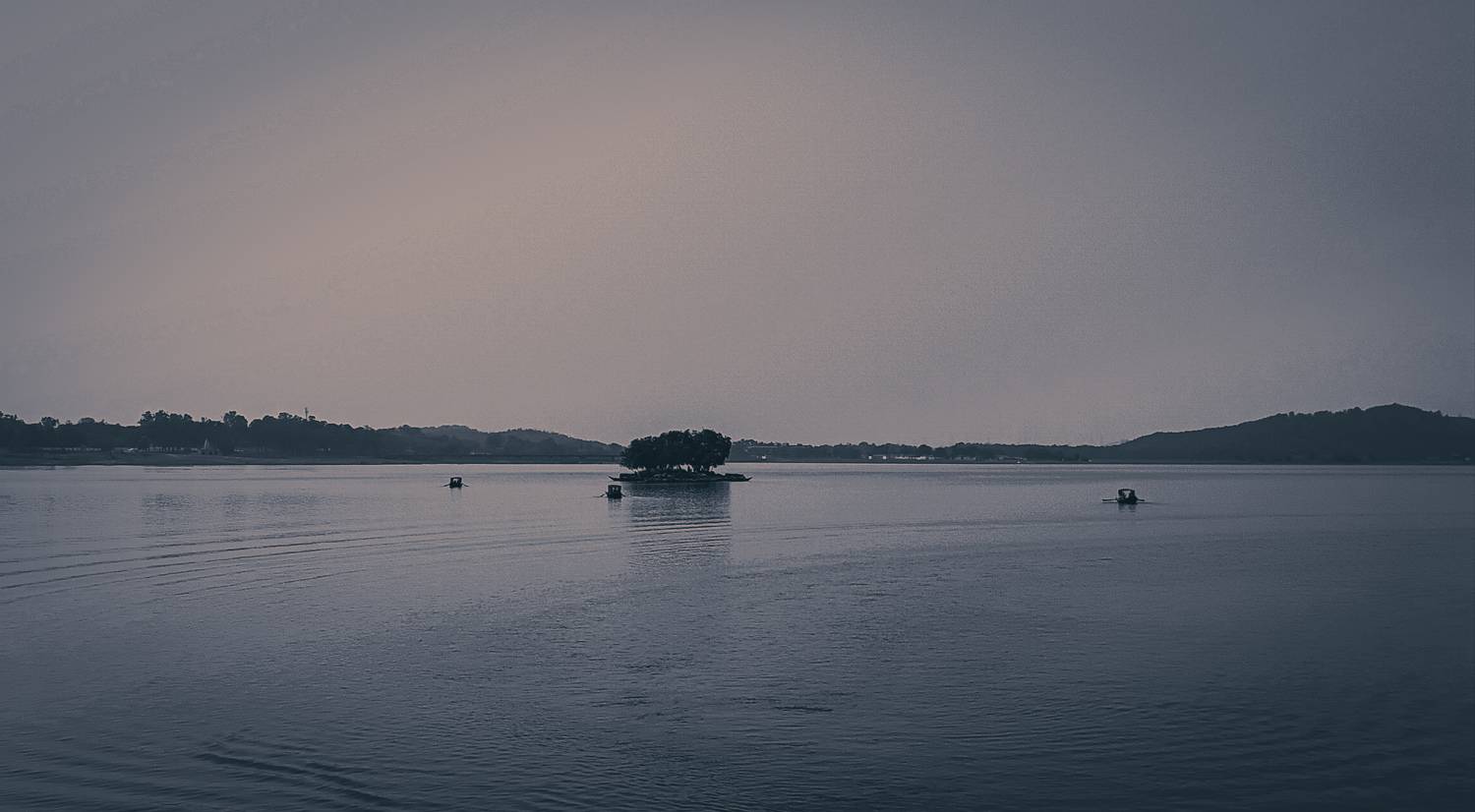 Photo #11374246