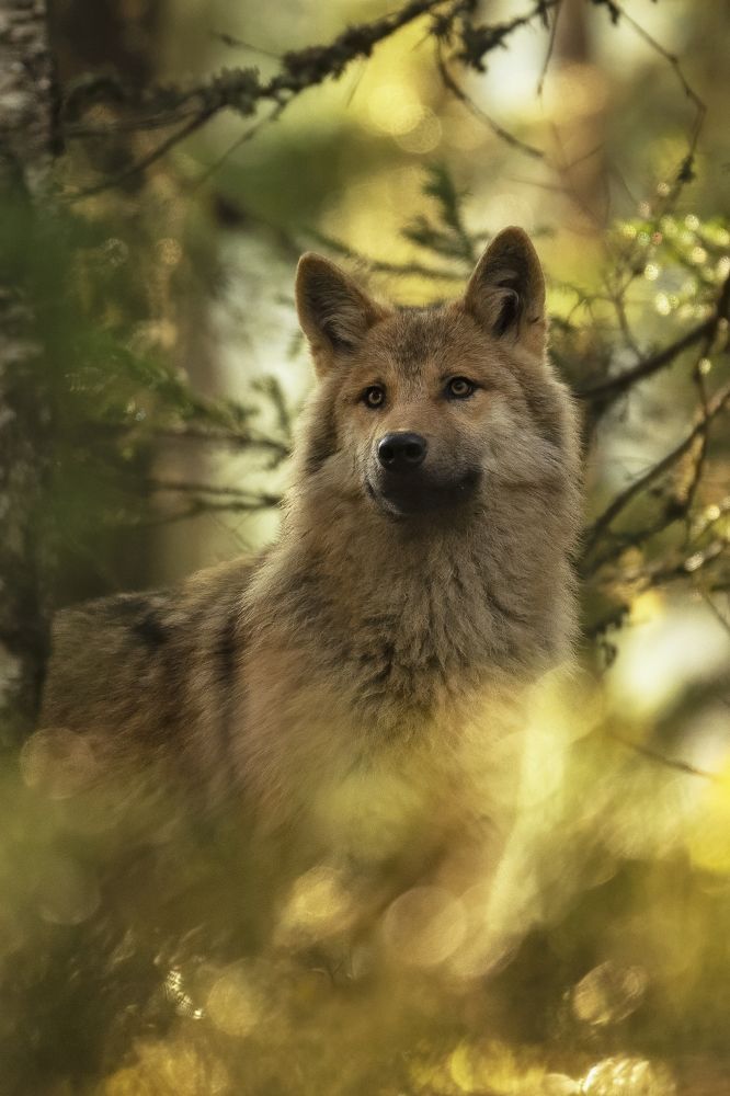 Photograph by Ernestas Balcikonis