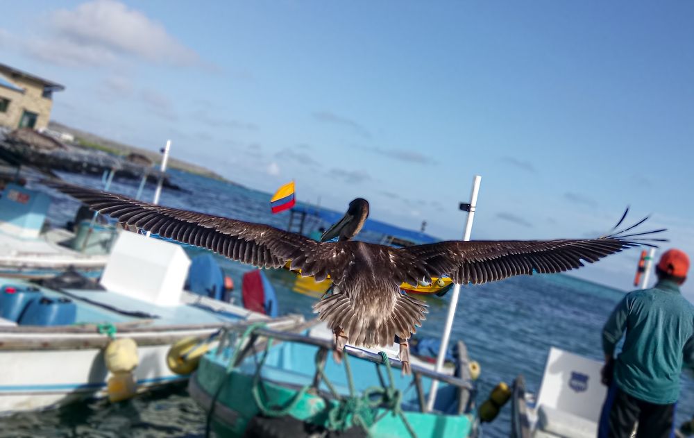 Photograph by Sandra Kominiarz