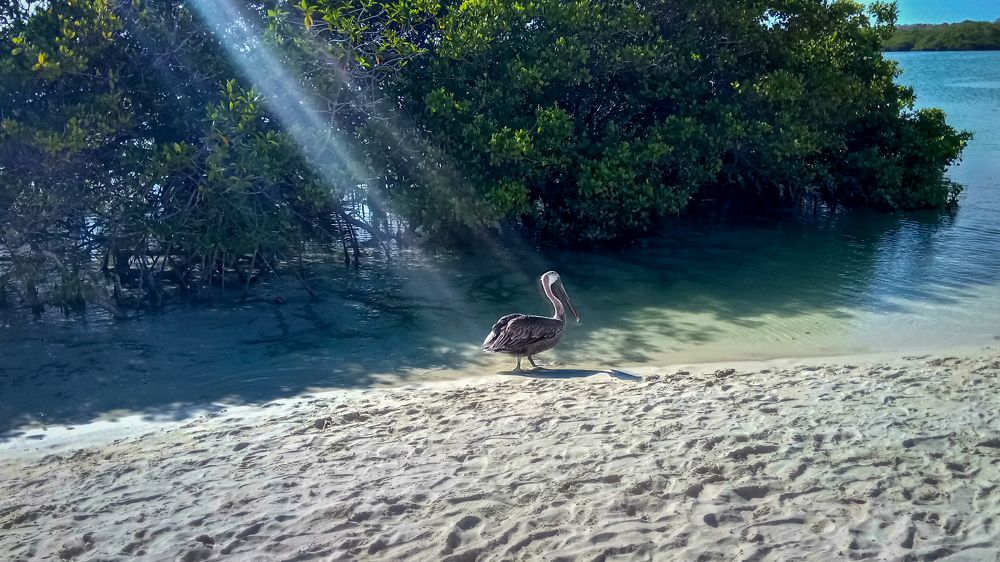 Photograph by Sandra Kominiarz