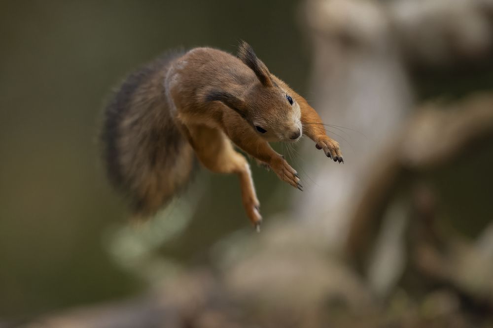 Photograph by Ernestas Balcikonis