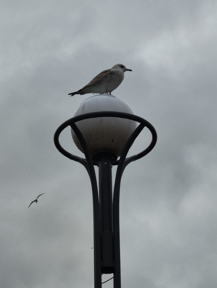 Photograph by Светлана Захарова