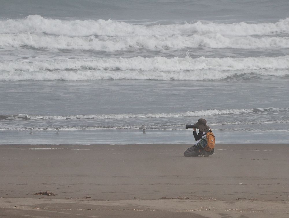 Фотография автора Paula Torrent