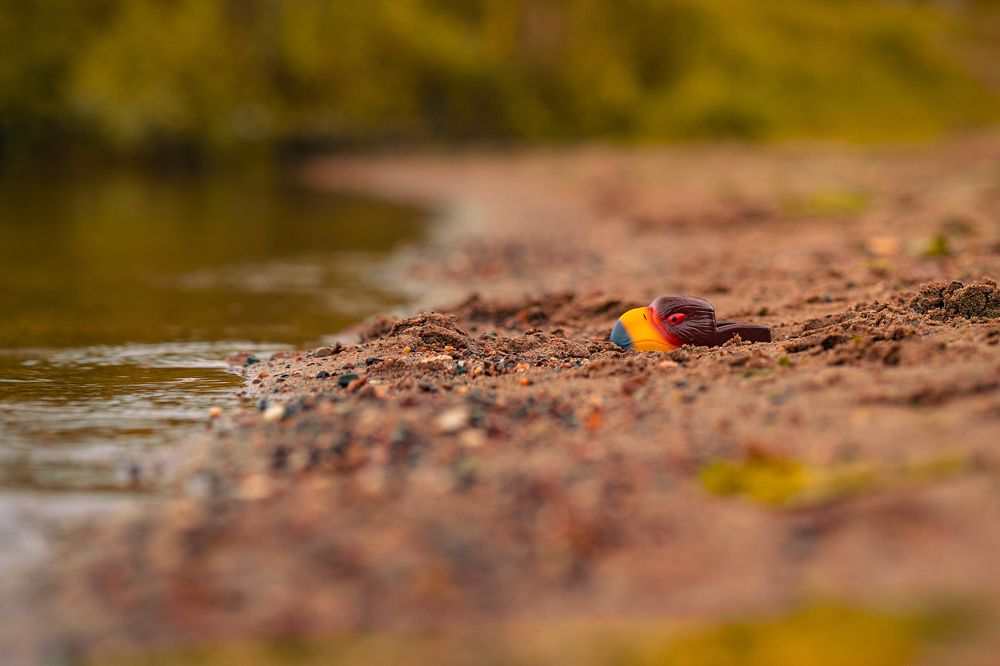 Photograph by Евгений Калагаев