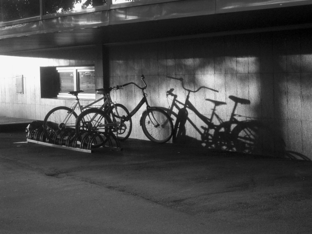 Фотография автора Харламова Валентина