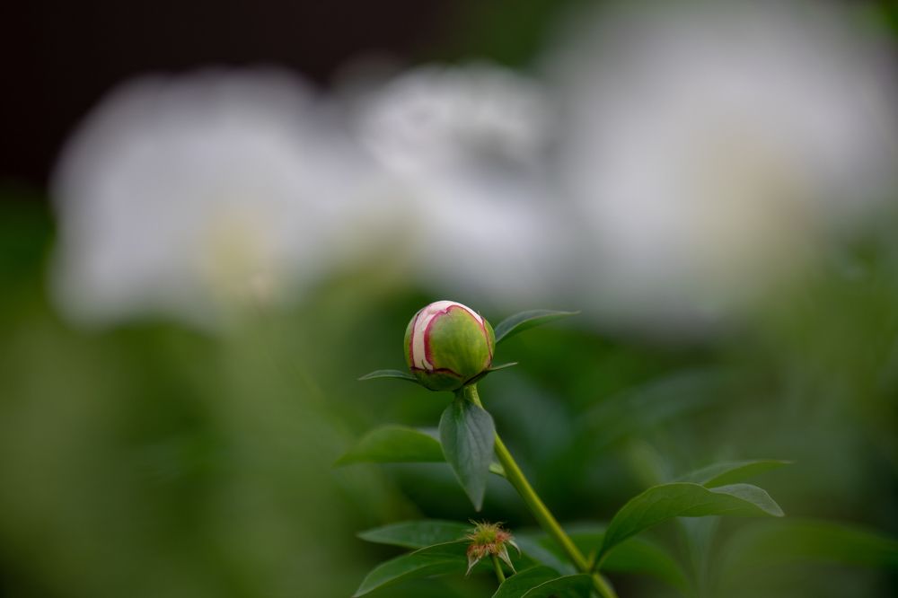 Photograph by Евгений Калагаев