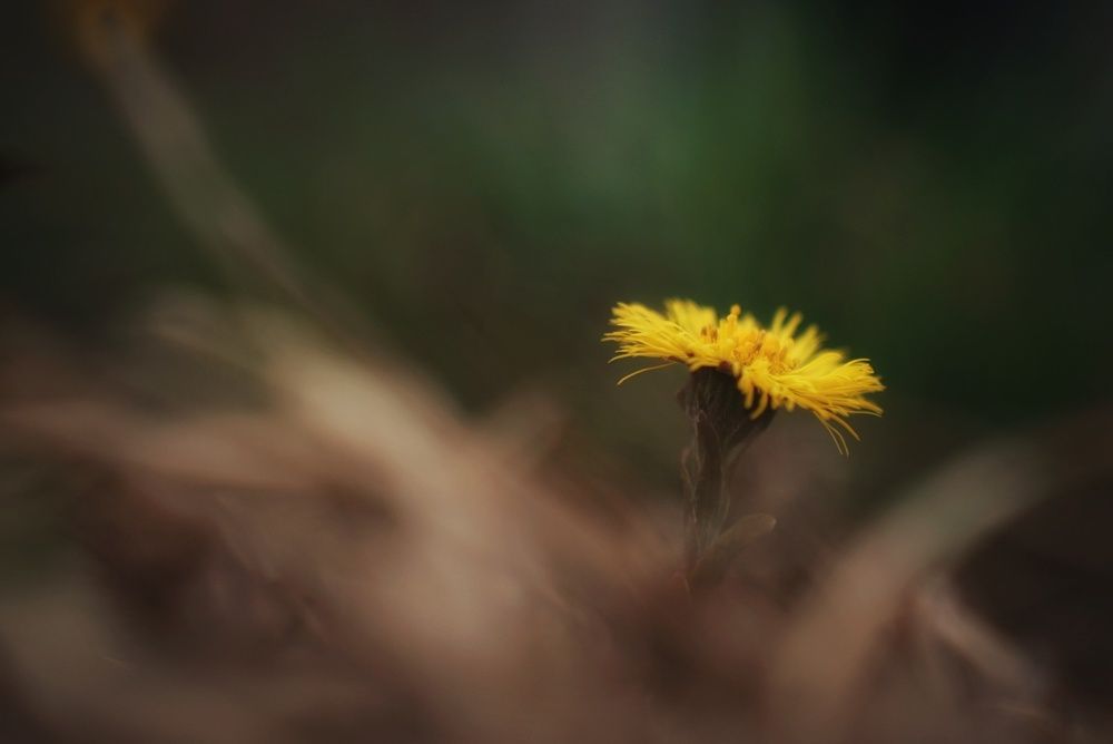 Photograph by Евгений Калагаев