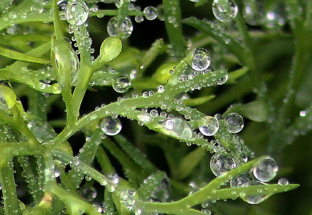 Photograph by Людмила Павловна